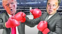The Trump-Musk feud continues to intensify â here's why it won't end anytime soon